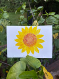 Hand-Painted Sunflower Watercolor Card, 5x7 Original Floral Art (Blank Back)