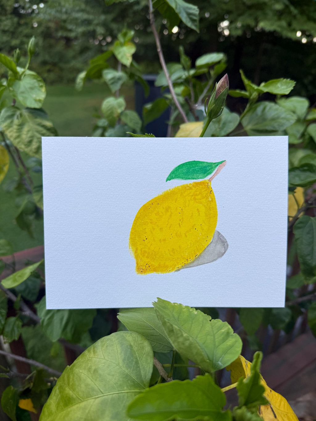 Hand Painted Lemon Watercolor Card, 5x7 Original Floral Art, Blank Message Paper